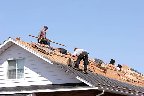 Best Roof Leak Repair  in Tremont, PA